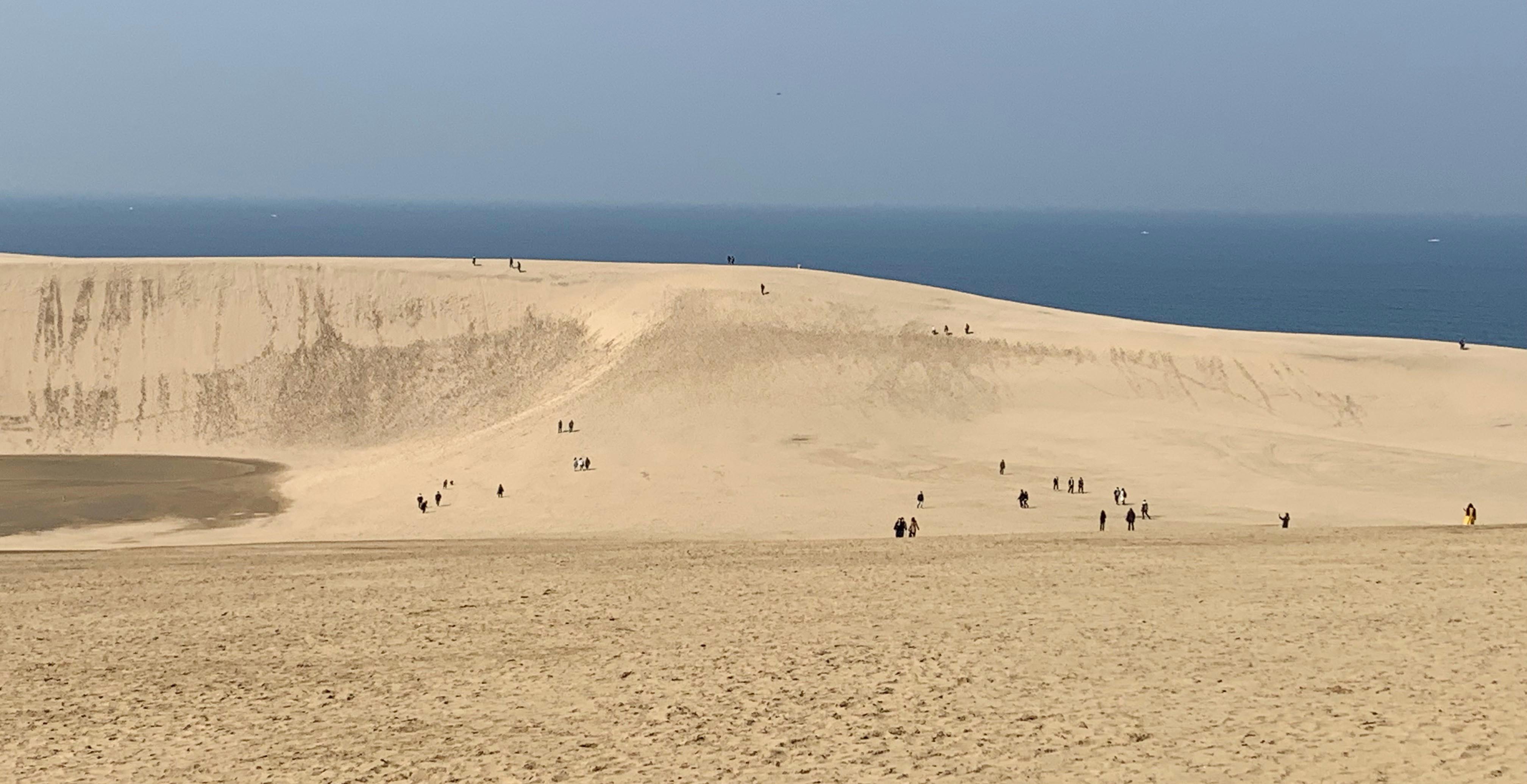 鳥取満喫！鳥取砂丘と二十世紀梨ツアー催行！