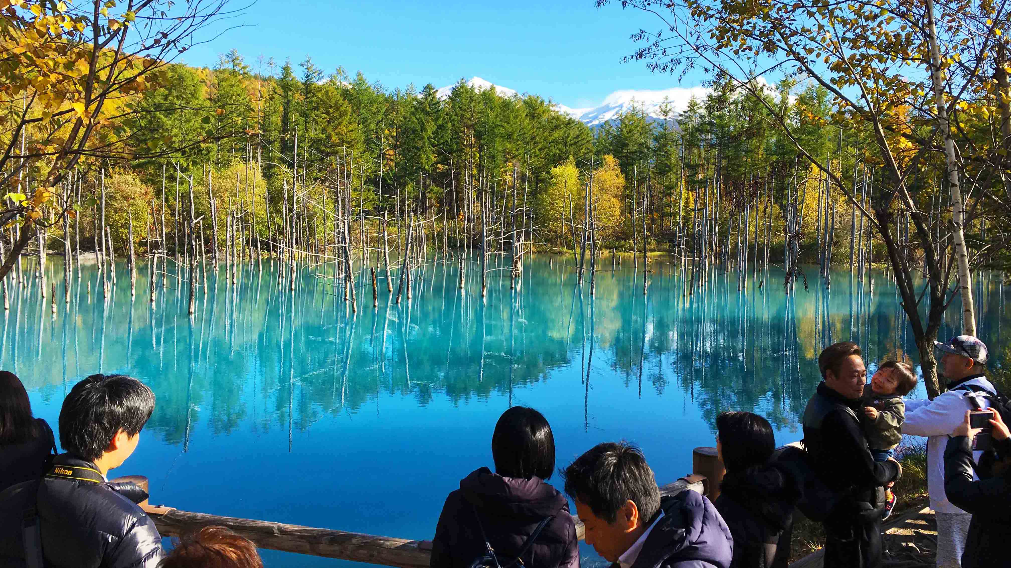 北海道　ベストシーズン！2泊3日ツアー催行！