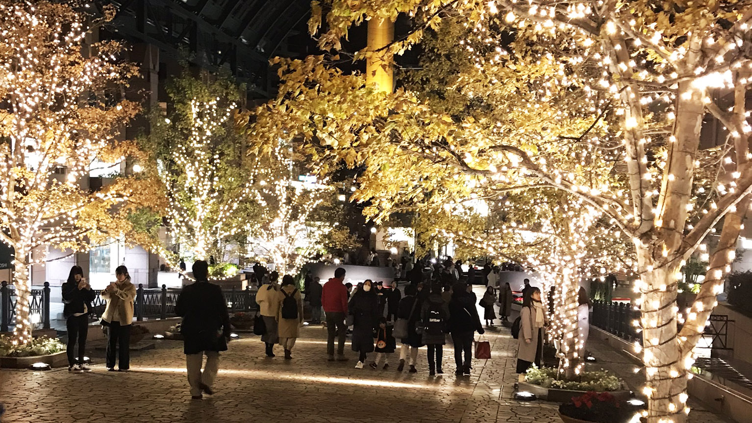 東京　恵比寿イルミネーションツアー催行！